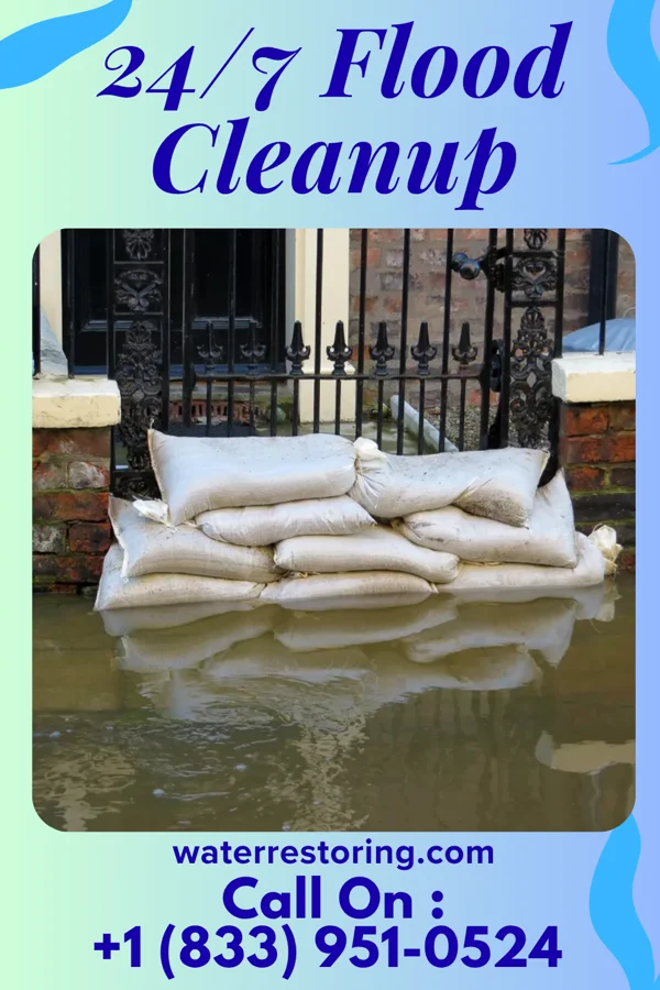24/7 Flood Cleanup in Buffalo Lake, MN