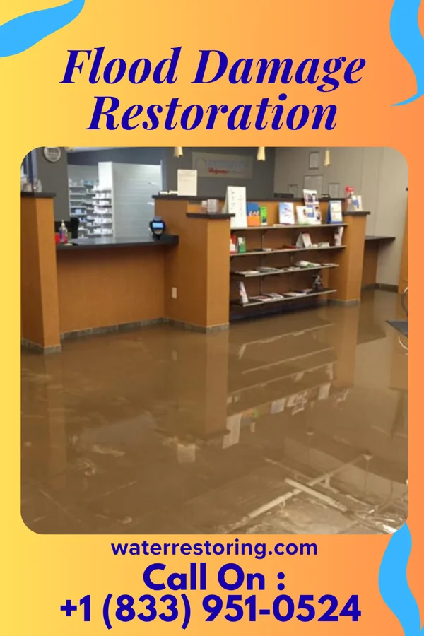 Flood Damage Restoration in Buffalo Lake, MN