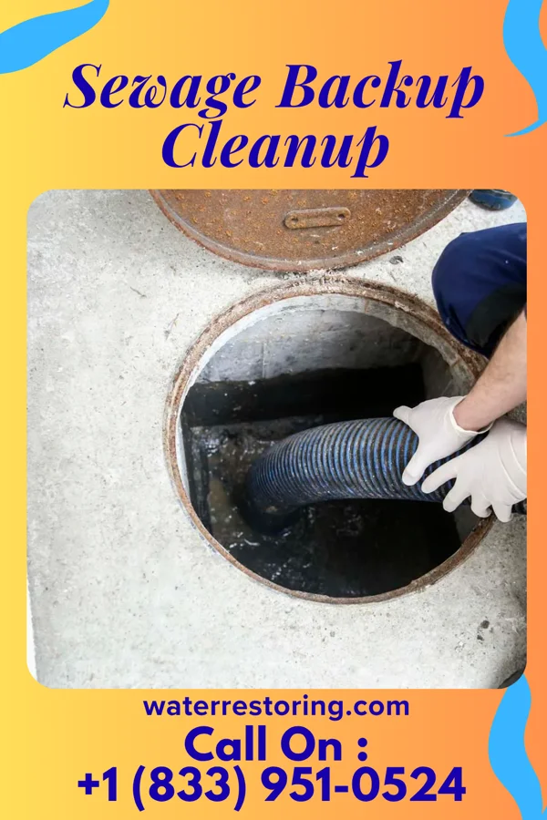 Sewage Backup Cleanup in Buffalo Lake, MN